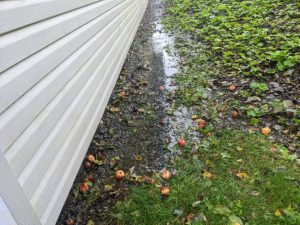 3 Ways to Tell if You Have a Drainage Problem